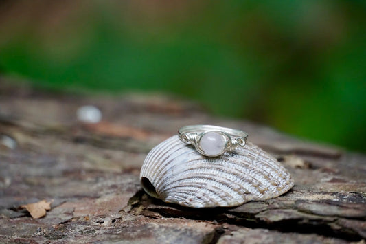 Ring mit einer Rosenquarz Edelsteinperle eingefasst in versilbertem Kupferdraht, platziert auf einer Muschel