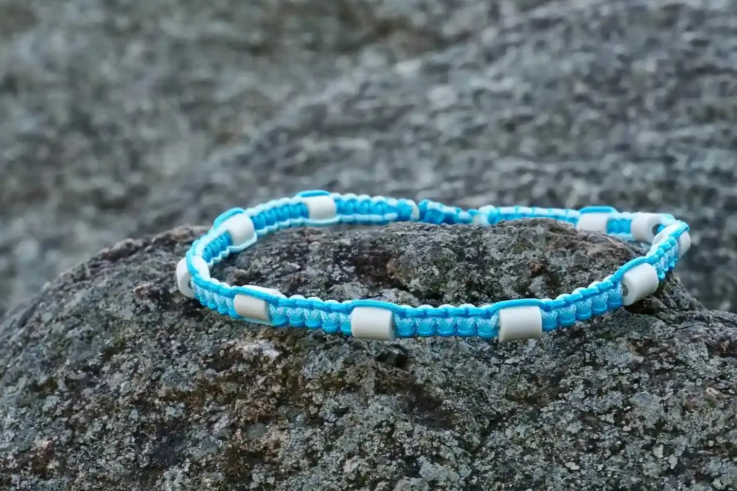 EM-Keramik-Zeckenhalsband-Hunde-blau-draussen