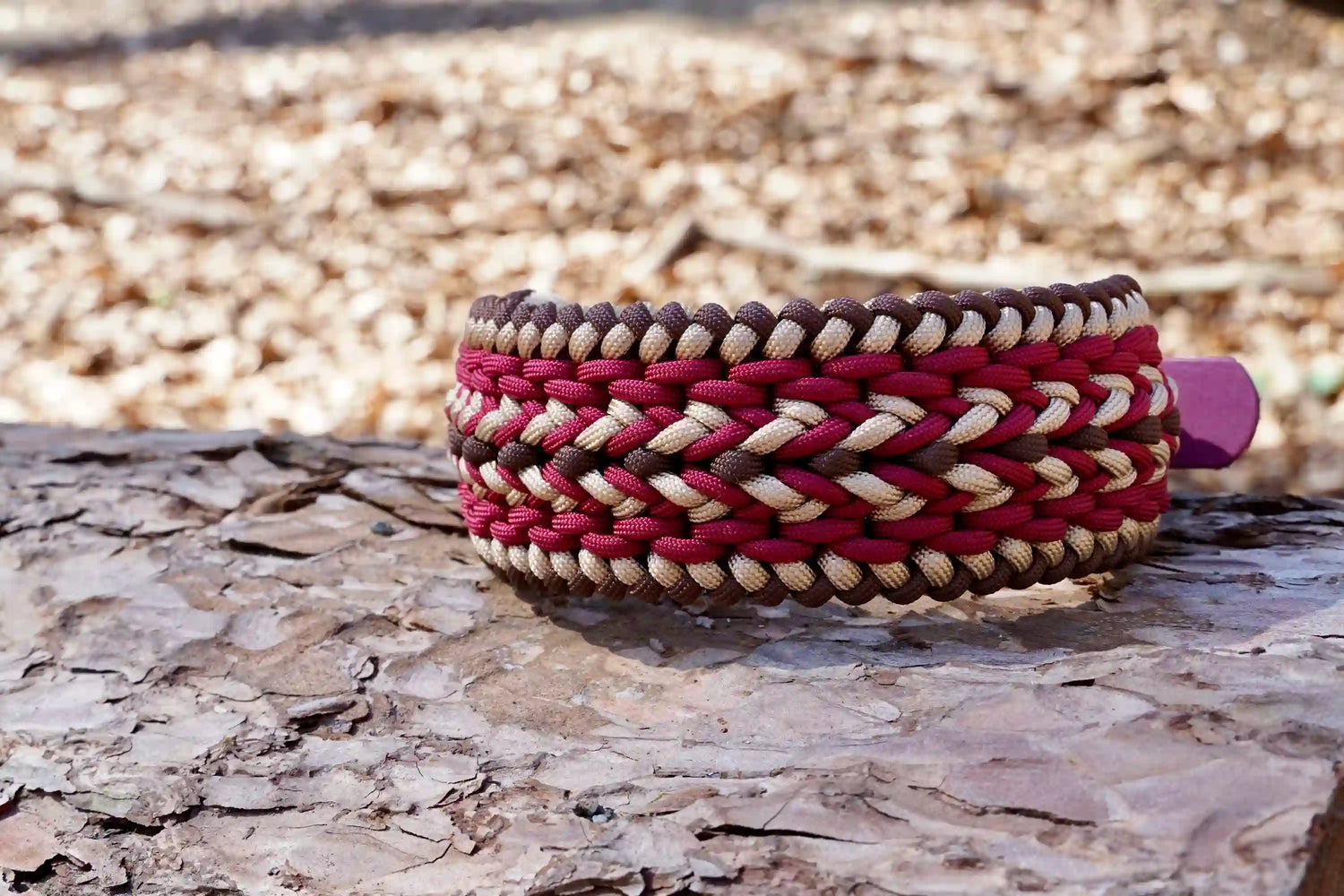 Hundehalsband-Paracord-Indian-Summer-draussen