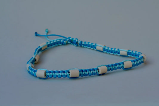 EM-Keramik-Zeckenhalsband-Hunde-blau