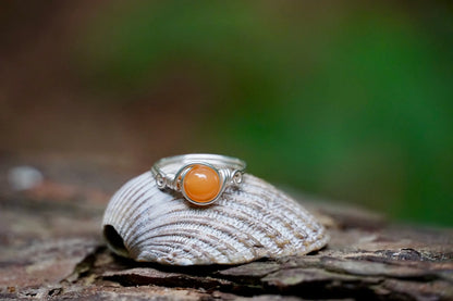 Ring mit einer Karneol Edelsteinperle eingefasst in versilbertem Kupferdraht, platziert auf einer Muschel
